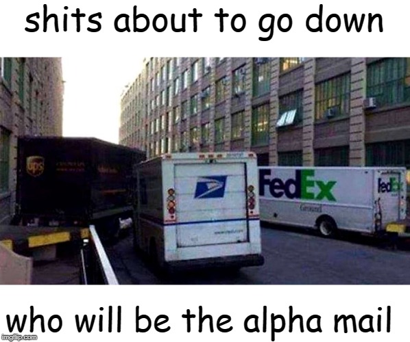shits about to go down; who will be the alpha mail | image tagged in memes | made w/ Imgflip meme maker
