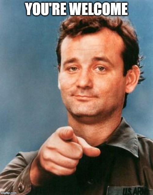 Bill Murray You're Awesome | YOU'RE WELCOME | image tagged in bill murray you're awesome | made w/ Imgflip meme maker