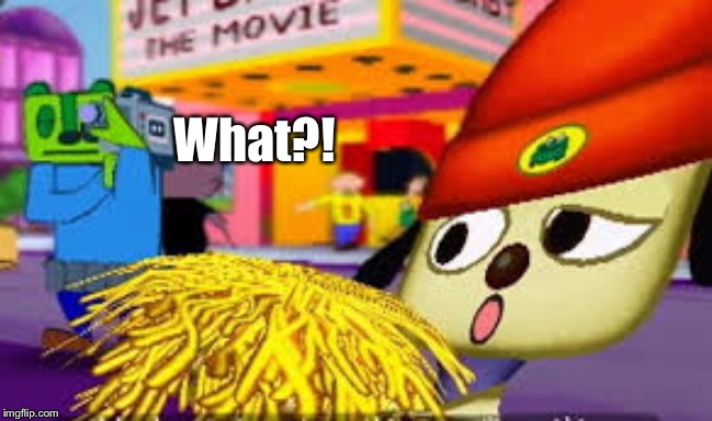 Confused PaRappa | What?! | image tagged in confused parappa | made w/ Imgflip meme maker