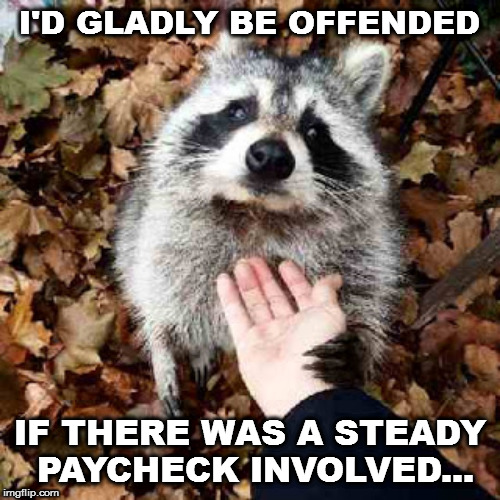 Offended raccoon | I'D GLADLY BE OFFENDED; IF THERE WAS A STEADY PAYCHECK INVOLVED... | image tagged in funny animals,show me the money | made w/ Imgflip meme maker