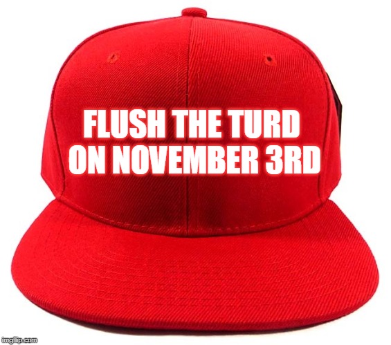 Flush the Turd on November 3rd | FLUSH THE TURD ON NOVEMBER 3RD | image tagged in trump,turd,maga,vote | made w/ Imgflip meme maker