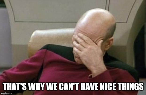 Captain Picard Facepalm Meme | THAT'S WHY WE CAN'T HAVE NICE THINGS | image tagged in memes,captain picard facepalm | made w/ Imgflip meme maker