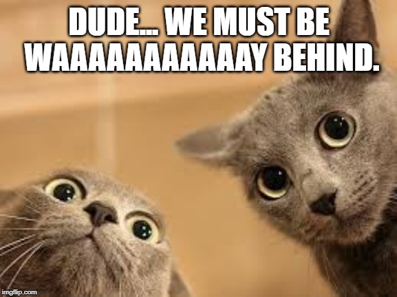 cats with large eyes | DUDE... WE MUST BE WAAAAAAAAAAAY BEHIND. | image tagged in cats with large eyes | made w/ Imgflip meme maker