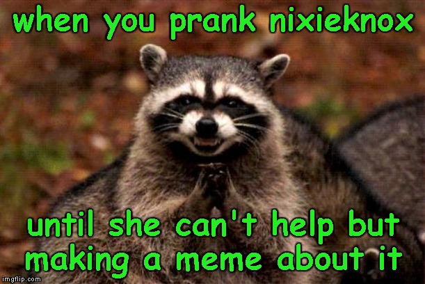 Evil Plotting Raccoon Meme | when you prank nixieknox until she can't help but making a meme about it | image tagged in memes,evil plotting raccoon | made w/ Imgflip meme maker