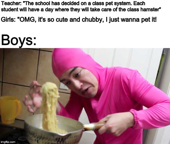 What's cookin' mah nookin'? | Teacher: "The school has decided on a class pet system. Each student will have a day where they will take care of the class hamster"; Girls: "OMG, it's so cute and chubby, I just wanna pet it! Boys: | image tagged in memes,filthy frank,pink guy,the boys,boys,school | made w/ Imgflip meme maker