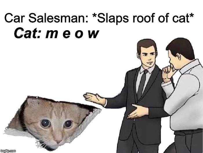 Slaps Roof Of Cat | Car Salesman: *Slaps roof of cat*; Cat: m e o w | image tagged in memes,car salesman slaps hood | made w/ Imgflip meme maker