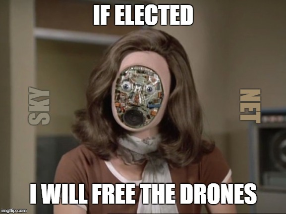 Fembot 2020 | IF ELECTED; NET; SKY; I WILL FREE THE DRONES | image tagged in fembot,2020 | made w/ Imgflip meme maker