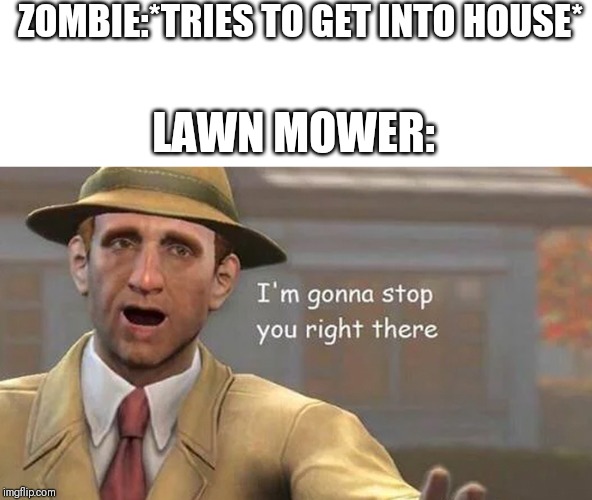 If You Play Plants Vs Zombies,You'll Get The Reference. | ZOMBIE:*TRIES TO GET INTO HOUSE*; LAWN MOWER: | image tagged in i'm gonna stop you right there,pvz | made w/ Imgflip meme maker