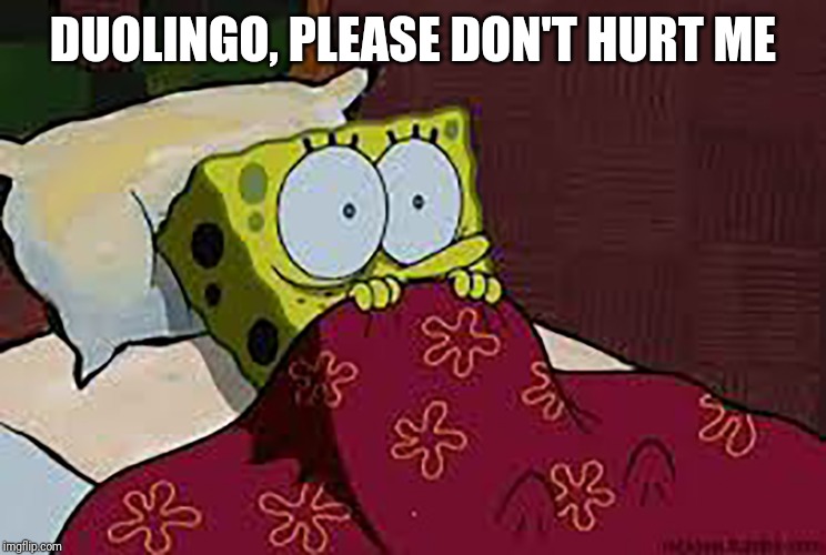 Scared Sponge Bob | DUOLINGO, PLEASE DON'T HURT ME | image tagged in scared sponge bob | made w/ Imgflip meme maker