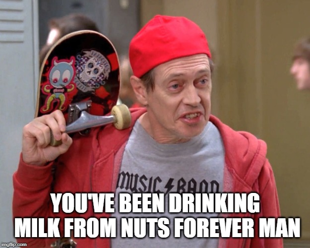 Steve Buscemi Fellow Kids | YOU'VE BEEN DRINKING MILK FROM NUTS FOREVER MAN | image tagged in steve buscemi fellow kids | made w/ Imgflip meme maker