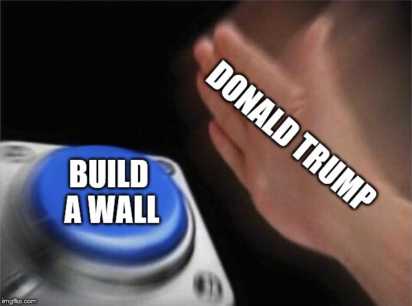 Blank Nut Button | DONALD TRUMP; BUILD A WALL | image tagged in memes,blank nut button | made w/ Imgflip meme maker