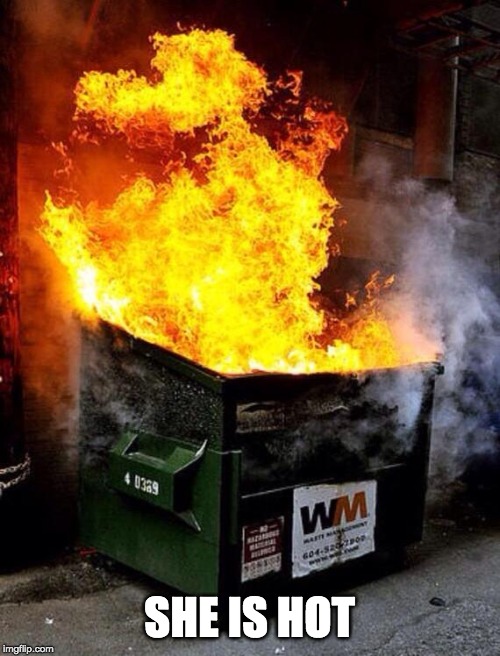 Dumpster Fire | SHE IS HOT | image tagged in dumpster fire | made w/ Imgflip meme maker