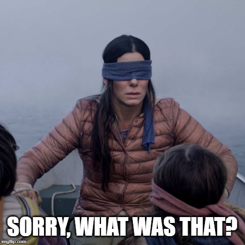 Bird Box Meme | SORRY, WHAT WAS THAT? | image tagged in memes,bird box | made w/ Imgflip meme maker