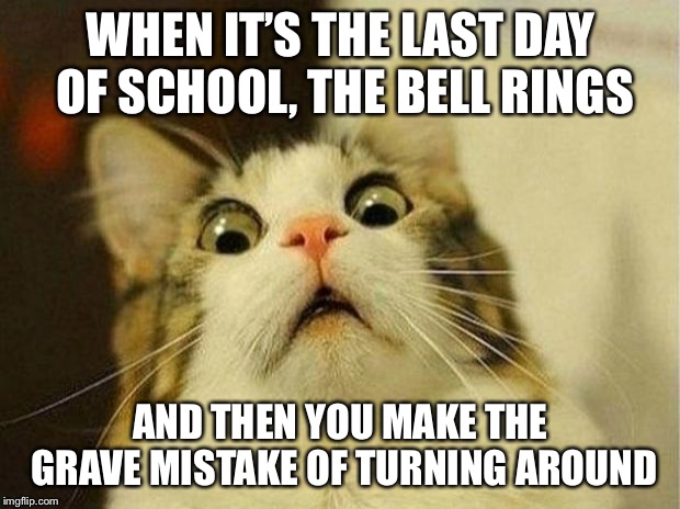 Scared Cat | WHEN IT’S THE LAST DAY OF SCHOOL, THE BELL RINGS; AND THEN YOU MAKE THE GRAVE MISTAKE OF TURNING AROUND | image tagged in memes,scared cat | made w/ Imgflip meme maker