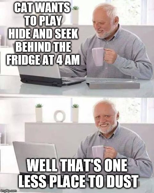 Hide the Pain Harold | CAT WANTS TO PLAY HIDE AND SEEK BEHIND THE FRIDGE AT 4 AM; WELL THAT'S ONE LESS PLACE TO DUST | image tagged in memes,hide the pain harold | made w/ Imgflip meme maker