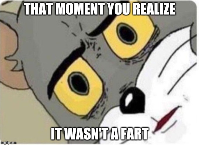 Tom and Jerry meme | THAT MOMENT YOU REALIZE; IT WASN'T A FART | image tagged in tom and jerry meme | made w/ Imgflip meme maker