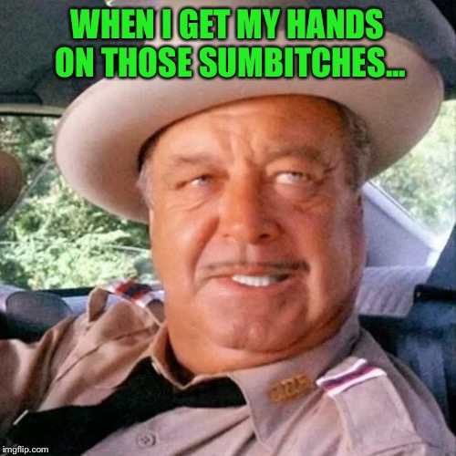 Sheriff Buford T. Justice You Sum Bitch | WHEN I GET MY HANDS ON THOSE SUMB**CHES... | image tagged in sheriff buford t justice you sum bitch | made w/ Imgflip meme maker