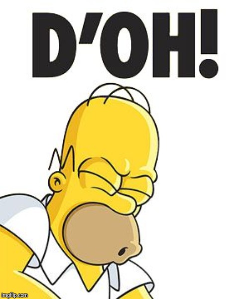 Homer D'OH! | image tagged in homer d'oh | made w/ Imgflip meme maker