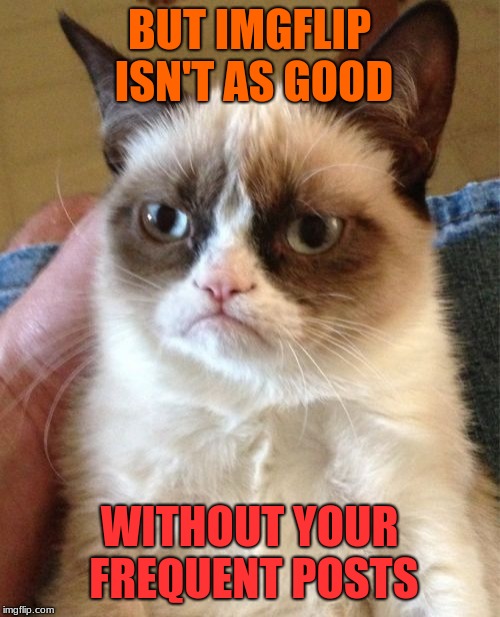 Grumpy Cat Meme | BUT IMGFLIP ISN'T AS GOOD WITHOUT YOUR FREQUENT POSTS | image tagged in memes,grumpy cat | made w/ Imgflip meme maker