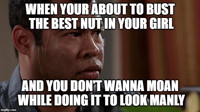 sweating bullets | WHEN YOUR ABOUT TO BUST THE BEST NUT IN YOUR GIRL; AND YOU DON'T WANNA MOAN WHILE DOING IT TO LOOK MANLY | image tagged in sweating bullets | made w/ Imgflip meme maker
