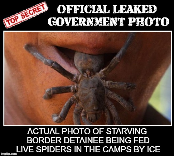 Spider are a Delicacy in Cambodia | OFFICIAL LEAKED GOVERNMENT PHOTO; ACTUAL PHOTO OF STARVING BORDER DETAINEE BEING FED LIVE SPIDERS IN THE CAMPS BY ICE | image tagged in vince vance,secure the border,concentration camp,tarantula,spiders,eating insects | made w/ Imgflip meme maker