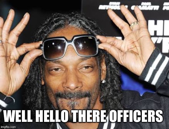 Snoop dogg likes | WELL HELLO THERE OFFICERS | image tagged in snoop dogg likes | made w/ Imgflip meme maker