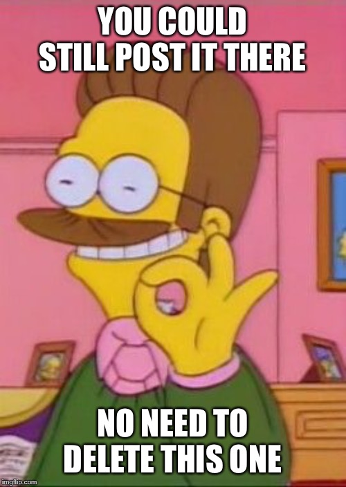 Ned flanders | YOU COULD STILL POST IT THERE NO NEED TO DELETE THIS ONE | image tagged in ned flanders | made w/ Imgflip meme maker
