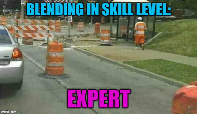 Rethink that wardrobe Homie... | BLENDING IN SKILL LEVEL:; EXPERT | image tagged in construction cone dude,memes,blending in,funny | made w/ Imgflip meme maker