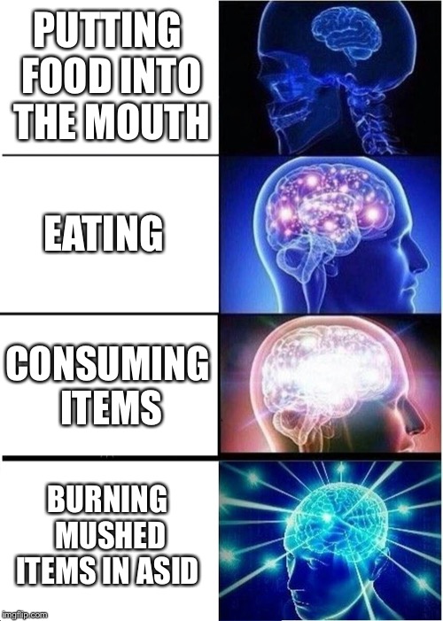 Expanding Brain | PUTTING FOOD INTO THE MOUTH; EATING; CONSUMING ITEMS; BURNING MUSHED ITEMS IN ASID | image tagged in memes,expanding brain | made w/ Imgflip meme maker
