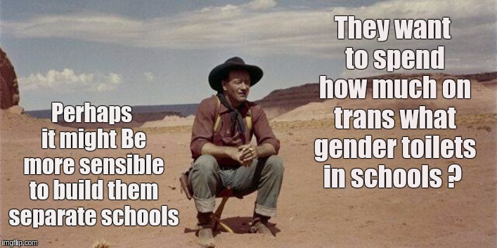 #TheWoldsGoneCrazy | Perhaps it might Be more sensible to build them separate schools; They want to spend how much on trans what gender toilets in schools ? | image tagged in transgender bathroom,uk,britain,world,wake up,the great awakening | made w/ Imgflip meme maker