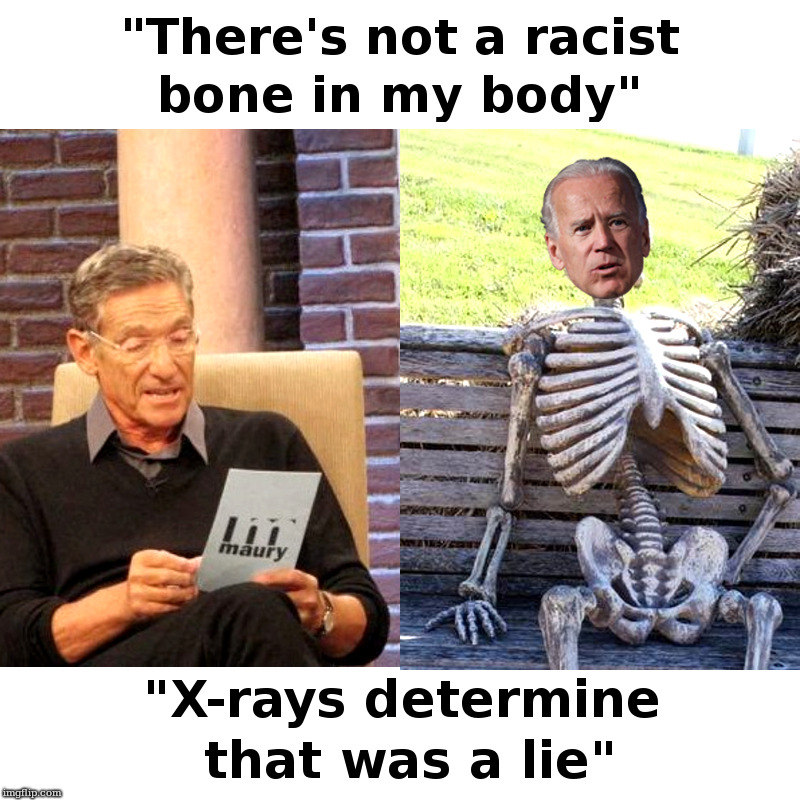 Joe Biden's Bones | image tagged in maury povich,joe biden,segregation,busing,doth protest too much | made w/ Imgflip meme maker