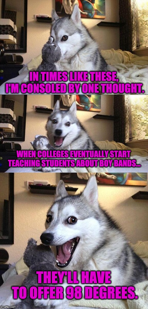 Bad Pun Dog Meme | IN TIMES LIKE THESE, I'M CONSOLED BY ONE THOUGHT. WHEN COLLEGES EVENTUALLY START TEACHING STUDENTS ABOUT BOY BANDS... THEY'LL HAVE TO OFFER 98 DEGREES. | image tagged in memes,bad pun dog | made w/ Imgflip meme maker