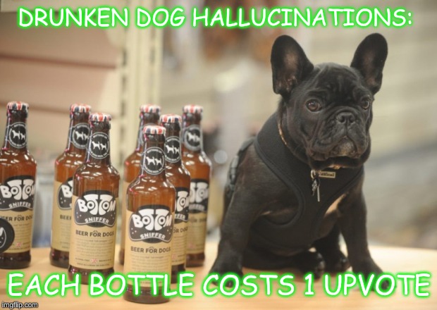 Drunk Dog | DRUNKEN DOG HALLUCINATIONS: EACH BOTTLE COSTS 1 UPVOTE | image tagged in drunk dog | made w/ Imgflip meme maker