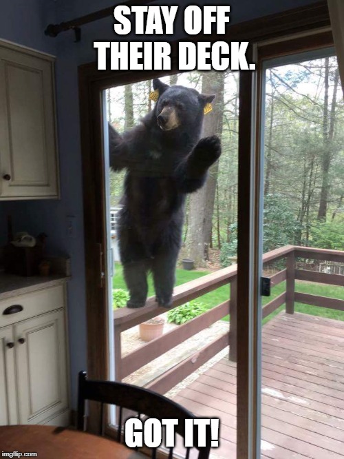 Bear on Deck | STAY OFF THEIR DECK. GOT IT! | image tagged in bear on deck | made w/ Imgflip meme maker