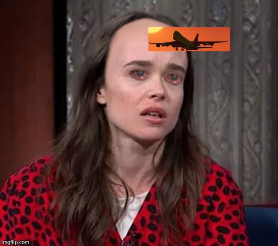 Don't forget, this lezbo blamed Pence for the 'assault' on Juicy. | image tagged in page's landing strip,receeding hairline,mike pence caused jussies assault | made w/ Imgflip meme maker