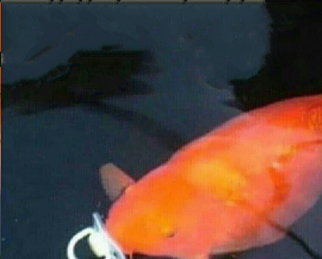 High Quality Cringe fish Blank Meme Template