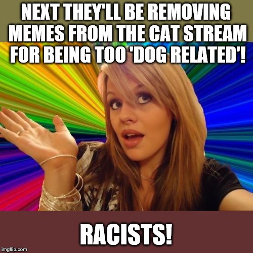 Dumb Blonde Meme | NEXT THEY'LL BE REMOVING MEMES FROM THE CAT STREAM FOR BEING TOO 'DOG RELATED'! RACISTS! | image tagged in memes,dumb blonde | made w/ Imgflip meme maker