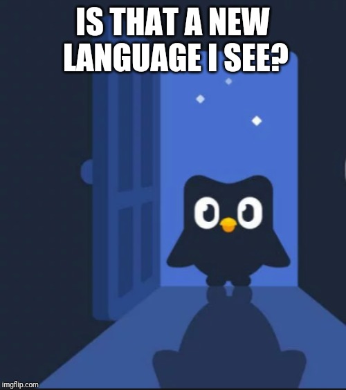 Duolingo bird | IS THAT A NEW LANGUAGE I SEE? | image tagged in duolingo bird | made w/ Imgflip meme maker