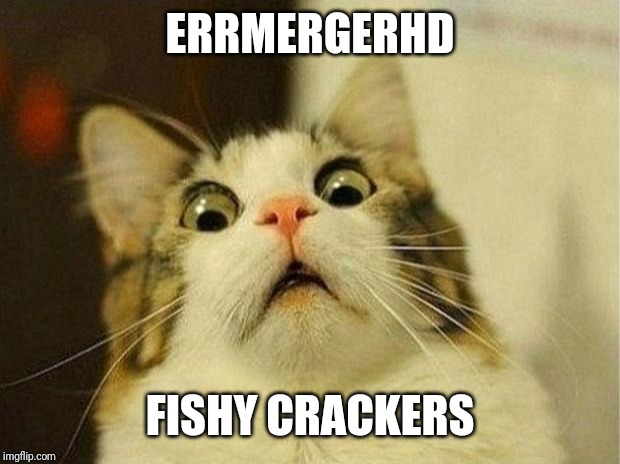 Scared Cat Meme | ERRMERGERHD; FISHY CRACKERS | image tagged in memes,scared cat | made w/ Imgflip meme maker