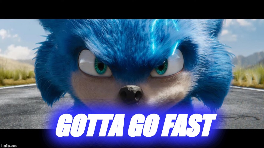 Sonic movie | GOTTA GO FAST | image tagged in sonic movie | made w/ Imgflip meme maker