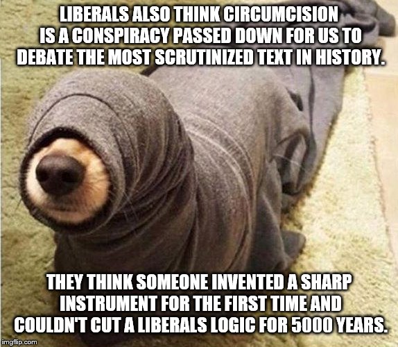 not circumcised  | LIBERALS ALSO THINK CIRCUMCISION IS A CONSPIRACY PASSED DOWN FOR US TO DEBATE THE MOST SCRUTINIZED TEXT IN HISTORY. THEY THINK SOMEONE INVEN | image tagged in not circumcised | made w/ Imgflip meme maker