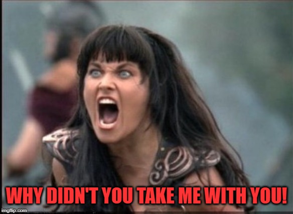 Screaming Woman | WHY DIDN'T YOU TAKE ME WITH YOU! | image tagged in screaming woman | made w/ Imgflip meme maker