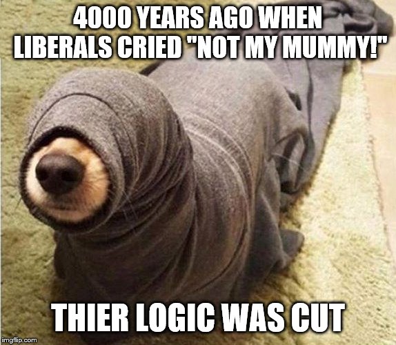 not circumcised  | 4000 YEARS AGO WHEN LIBERALS CRIED "NOT MY MUMMY!"; THIER LOGIC WAS CUT | image tagged in not circumcised | made w/ Imgflip meme maker