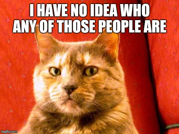 Suspicious Cat Meme | I HAVE NO IDEA WHO ANY OF THOSE PEOPLE ARE | image tagged in memes,suspicious cat | made w/ Imgflip meme maker