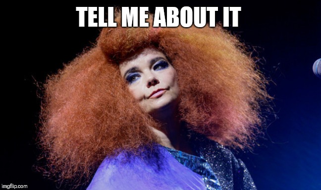 Bjork | TELL ME ABOUT IT | image tagged in bjork | made w/ Imgflip meme maker