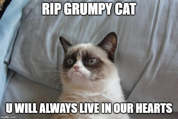 Grumpy Cat Bed | RIP GRUMPY CAT; U WILL ALWAYS LIVE IN OUR HEARTS | image tagged in memes,grumpy cat bed,grumpy cat | made w/ Imgflip meme maker