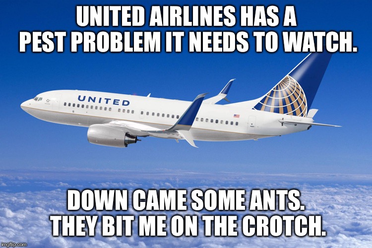 United Airlines needs an itsy-bitsy spider to handle the ants | UNITED AIRLINES HAS A PEST PROBLEM IT NEEDS TO WATCH. DOWN CAME SOME ANTS. THEY BIT ME ON THE CROTCH. | image tagged in united airlines,memes,spider,ants,bugs,words | made w/ Imgflip meme maker