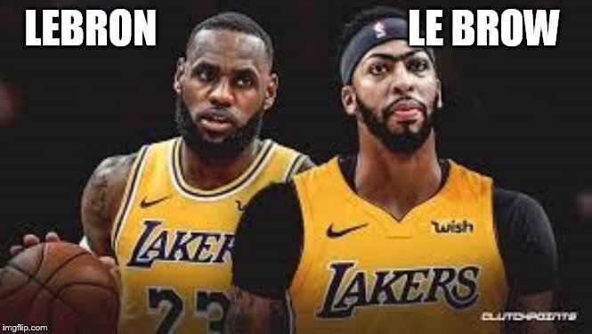 Le Brow |  LEBRON                                LE BROW | image tagged in lebron james,anthony davis,lakers,basketball,the king,monobrow | made w/ Imgflip meme maker