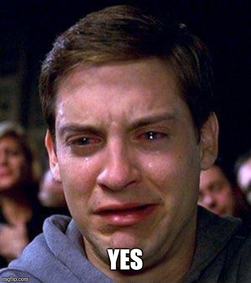 PETER PARKER CRY | YES | image tagged in peter parker cry | made w/ Imgflip meme maker