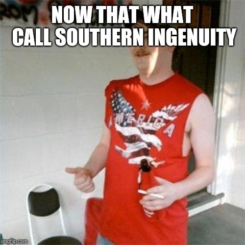 Redneck Randal Meme | NOW THAT WHAT CALL SOUTHERN INGENUITY | image tagged in memes,redneck randal | made w/ Imgflip meme maker